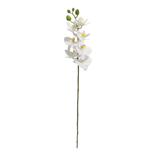 Speedtsberg Orchid grein 79cm