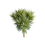 Speedtsberg Pine skrautgrein 25cm