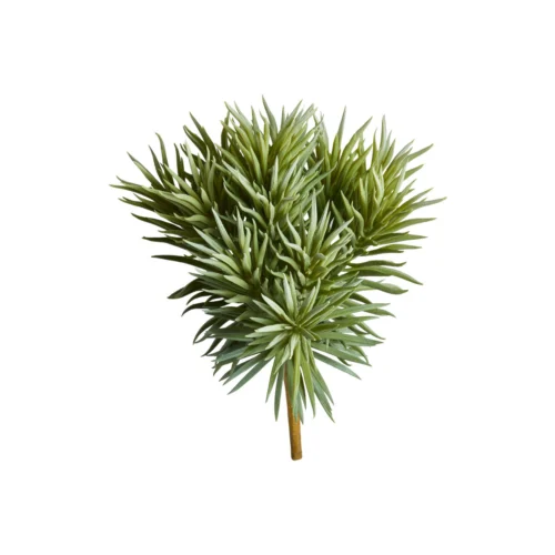Speedtsberg Pine skrautgrein 25cm