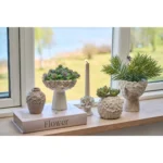 Speedtsberg Pine skrautgrein 25cm - Image 3