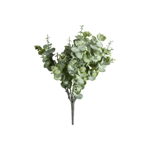 Speedtsberg eucalyptus grein 28cm