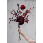 Speetsberg Hydrangea grein 70cm vínrauð – mynd 2