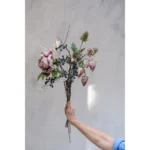 Speedtsberg Peony grein bleik – mynd 2