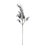 Speedtsberg grein m/berjum 66cm svört