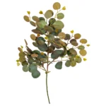 Speedtserg Eucalyptus grein 69cm