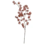 Speedtsberg acer palmatum grein 102cm rauð